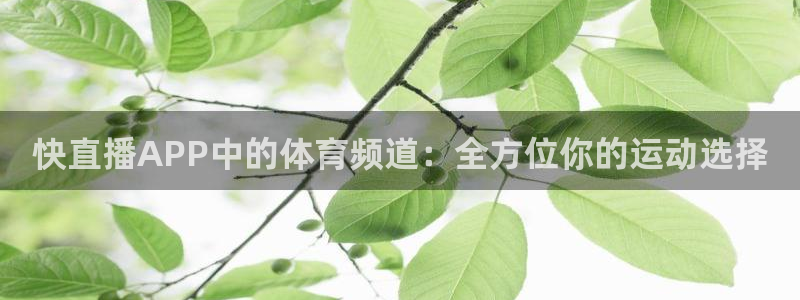 快直播APP中的体育频道：全方位你的运动选择