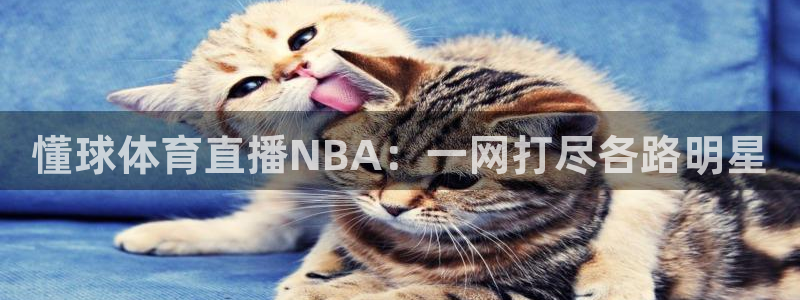 懂球体育直播NBA：一网打尽各路明星