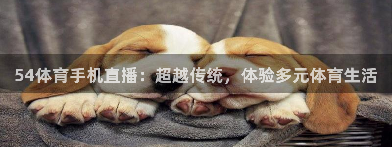 54体育手机直播：超越传统，体验多元体育生活