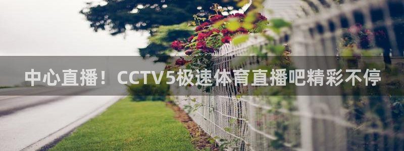 中心直播！CCTV5极速体育直播吧精彩不停