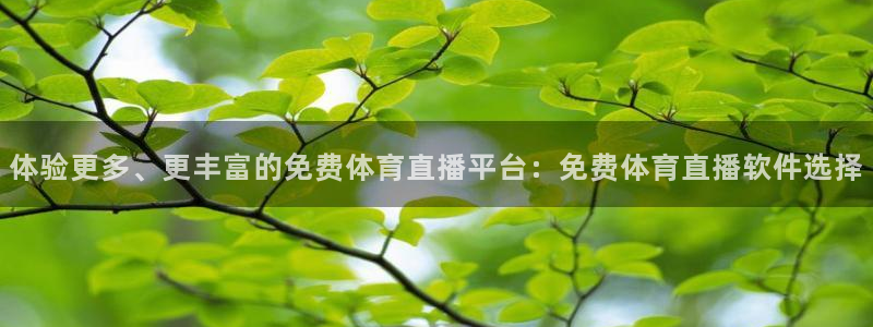 体验更多、更丰富的免费体育直播平台：免费体育直播软件选择