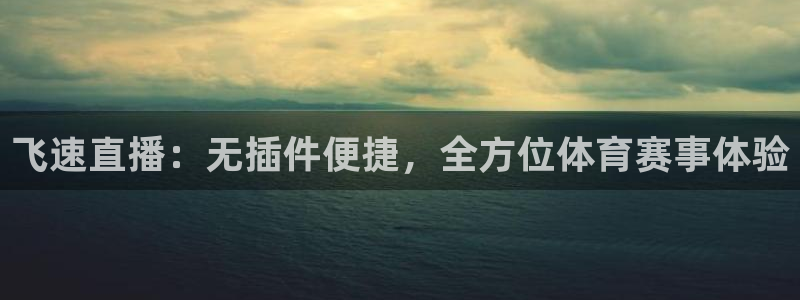 飞速直播：无插件便捷，全方位体育赛事体验