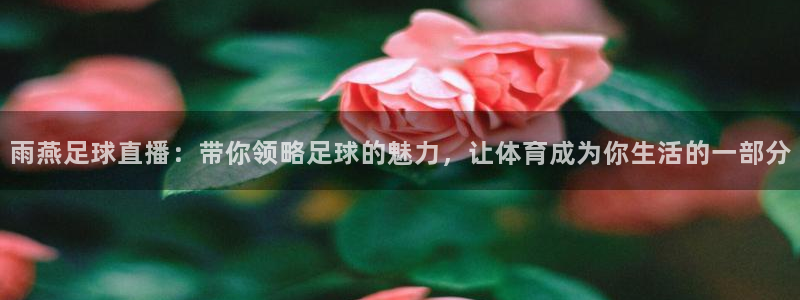 雨燕足球直播：带你领略足球的魅力，让体育成为你生活的一部分