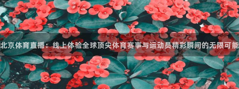 北京体育直播：线上体验全球顶尖体育赛事与运动员精彩瞬间的无限可能