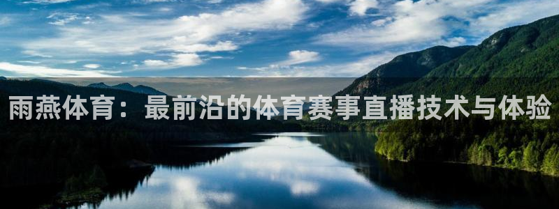雨燕体育：最前沿的体育赛事直播技术与体验