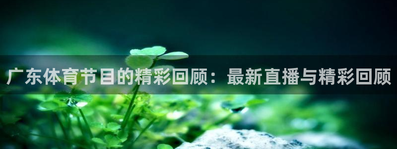 广东体育节目的精彩回顾：最新直播与精彩回顾