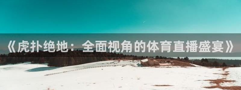 《虎扑绝地：全面视角的体育直播盛宴》