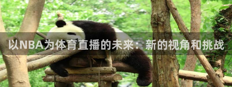 以NBA为体育直播的未来：新的视角和挑战