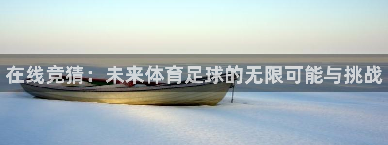 在线竞猜：未来体育足球的无限可能与挑战