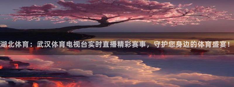 湖北体育：武汉体育电视台实时直播精彩赛事，守护您身边的体育盛宴！