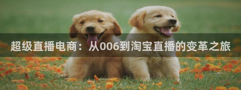 超级直播电商：从006到淘宝直播的变革之旅