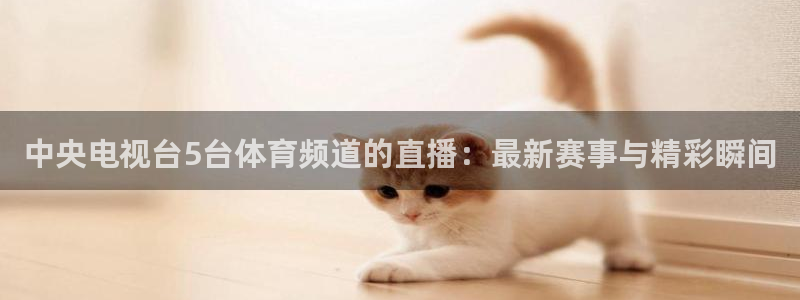 中央电视台5台体育频道的直播：最新赛事与精彩瞬间