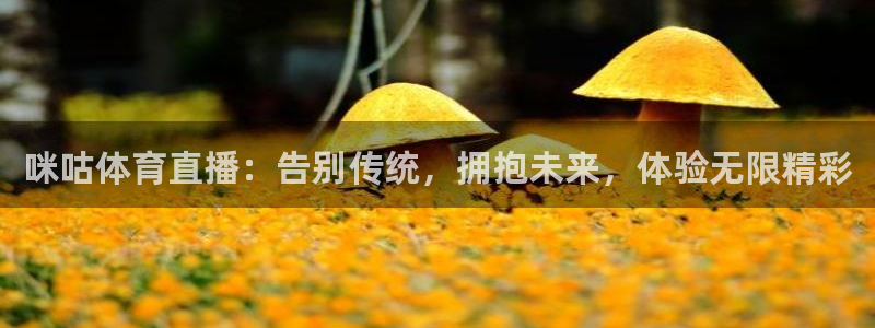 咪咕体育直播：告别传统，拥抱未来，体验无限精彩
