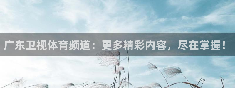 广东卫视体育频道：更多精彩内容，尽在掌握！